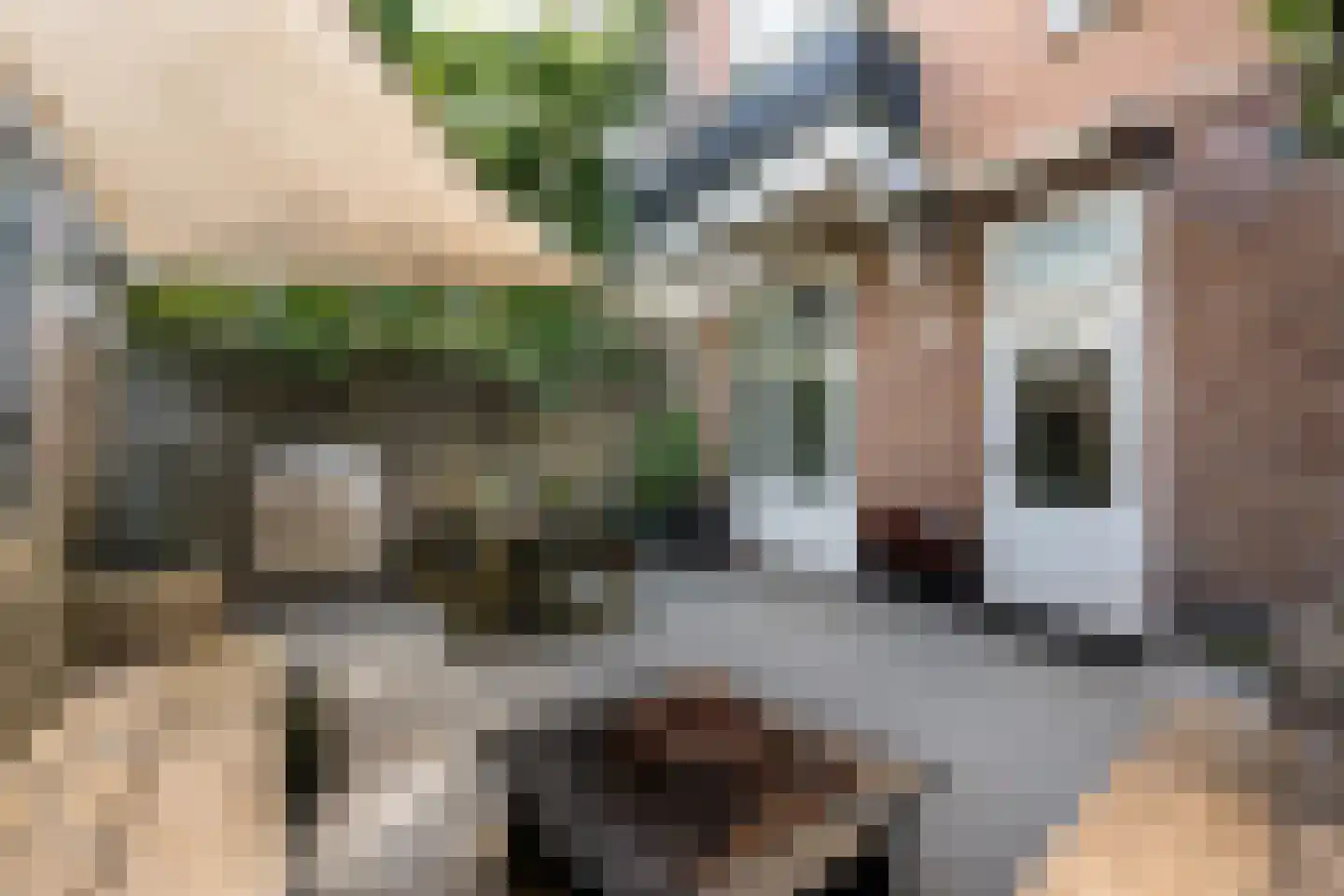 Leidseplein 13 ZW Haarlem thumbnail 10