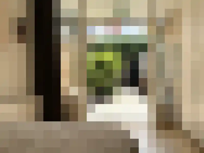 Leidseplein 8 ZW Haarlem thumbnail 12