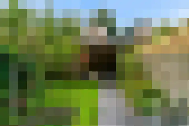Leidseschans 7 Nieuwegein thumbnail 10