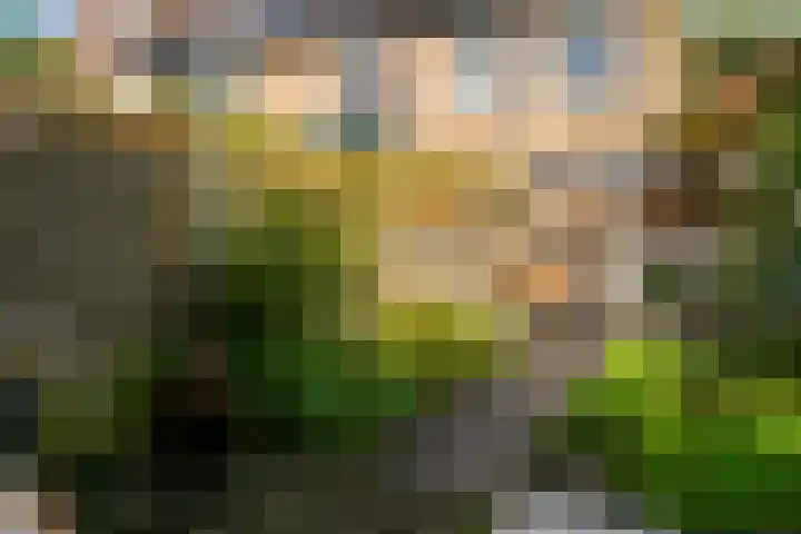Leidseschans 7 Nieuwegein thumbnail 14