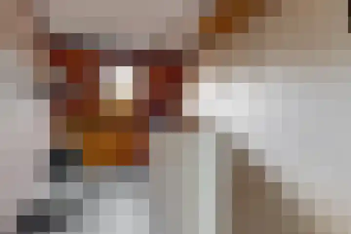 Leidseschans 7 Nieuwegein thumbnail 26