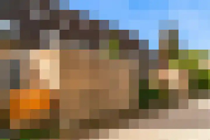 Leidseschans 7 Nieuwegein thumbnail 35
