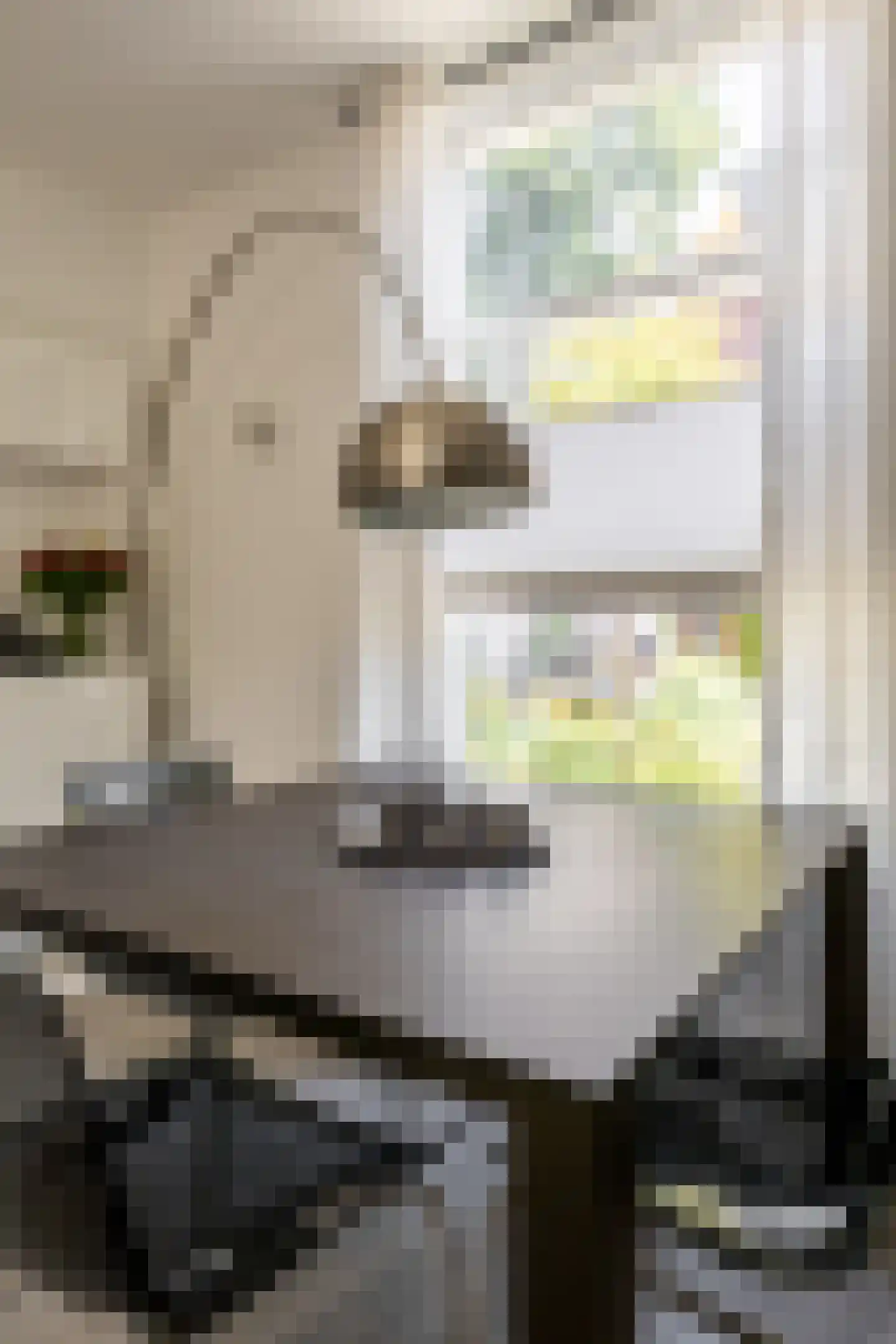 Leidsestraat 106 Haarlem thumbnail 20