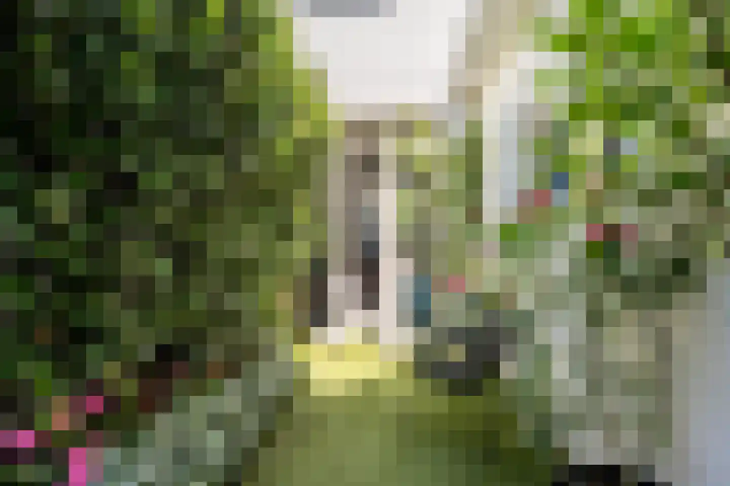 Leidsestraat 106 Haarlem thumbnail 24