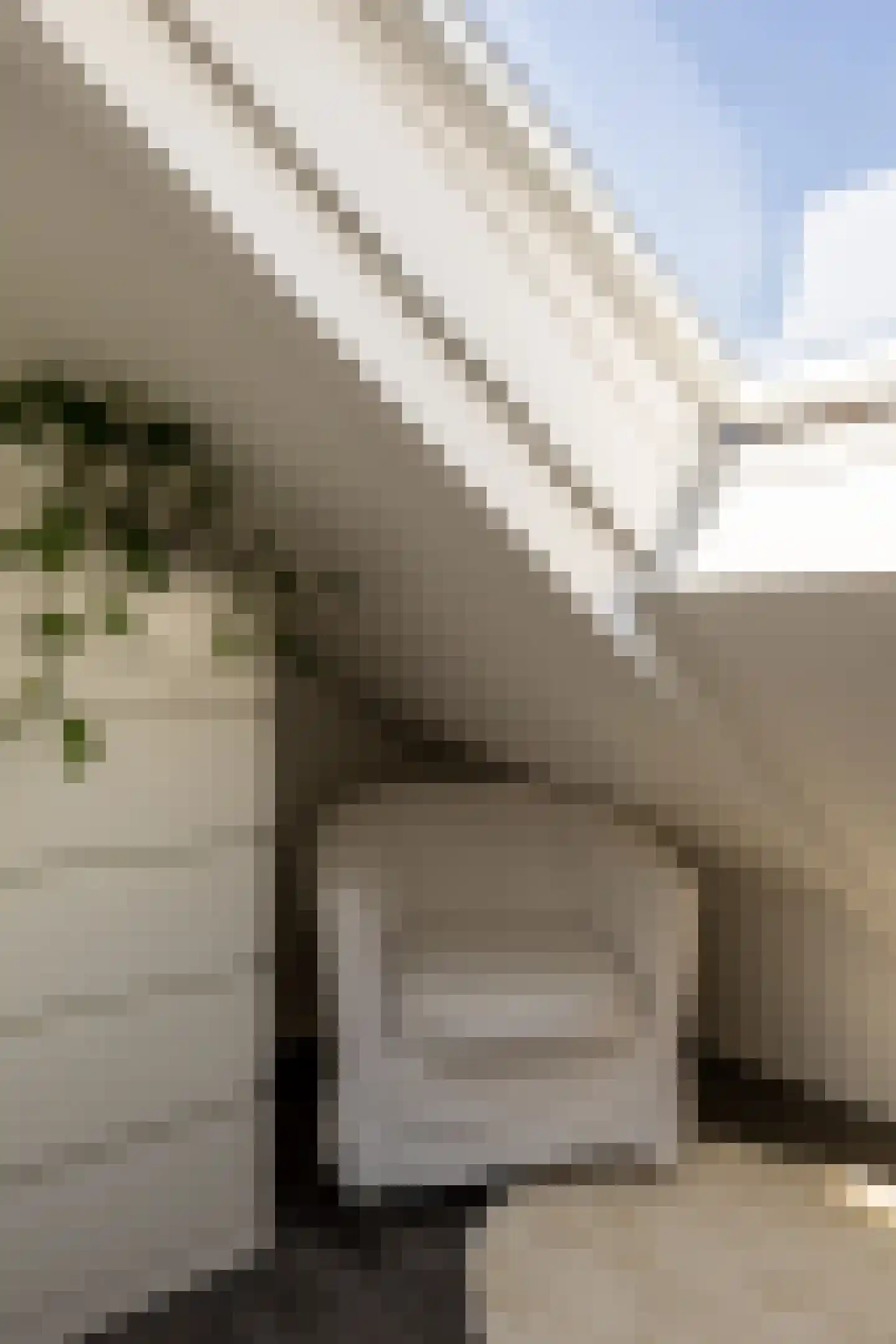 Leidsestraat 106 Haarlem thumbnail 37
