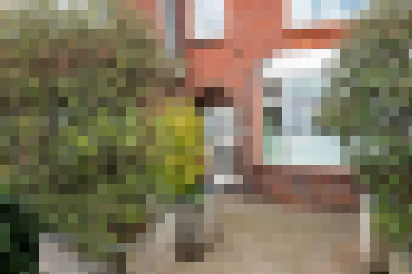 Leidsestraat 137 Hillegom thumbnail 4