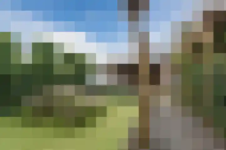 Leidsestraat 149 Hillegom thumbnail 38