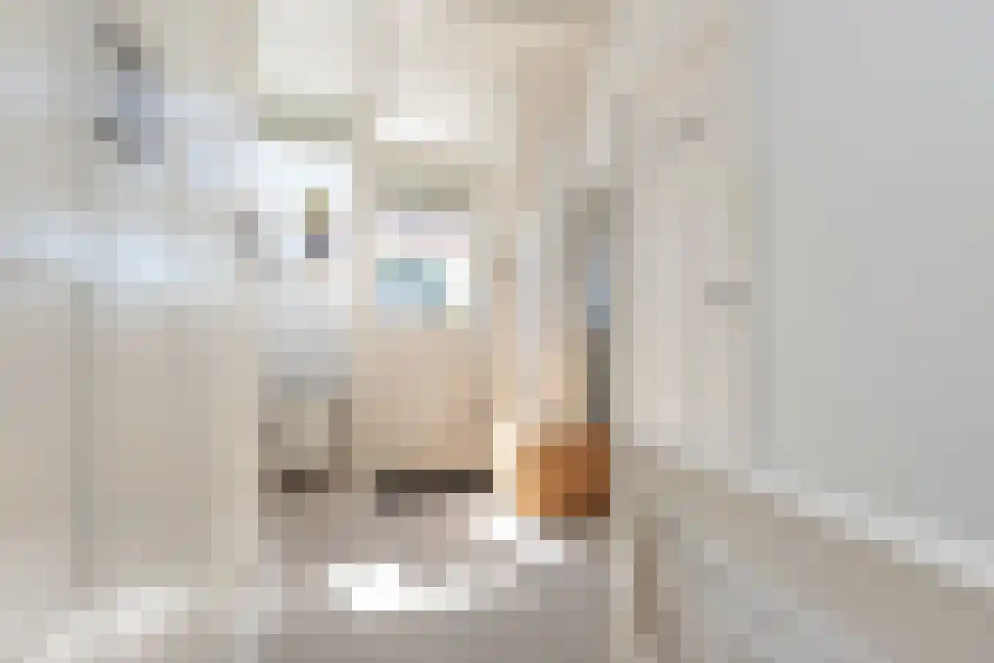 Leidsestraat 152 Haarlem thumbnail 32