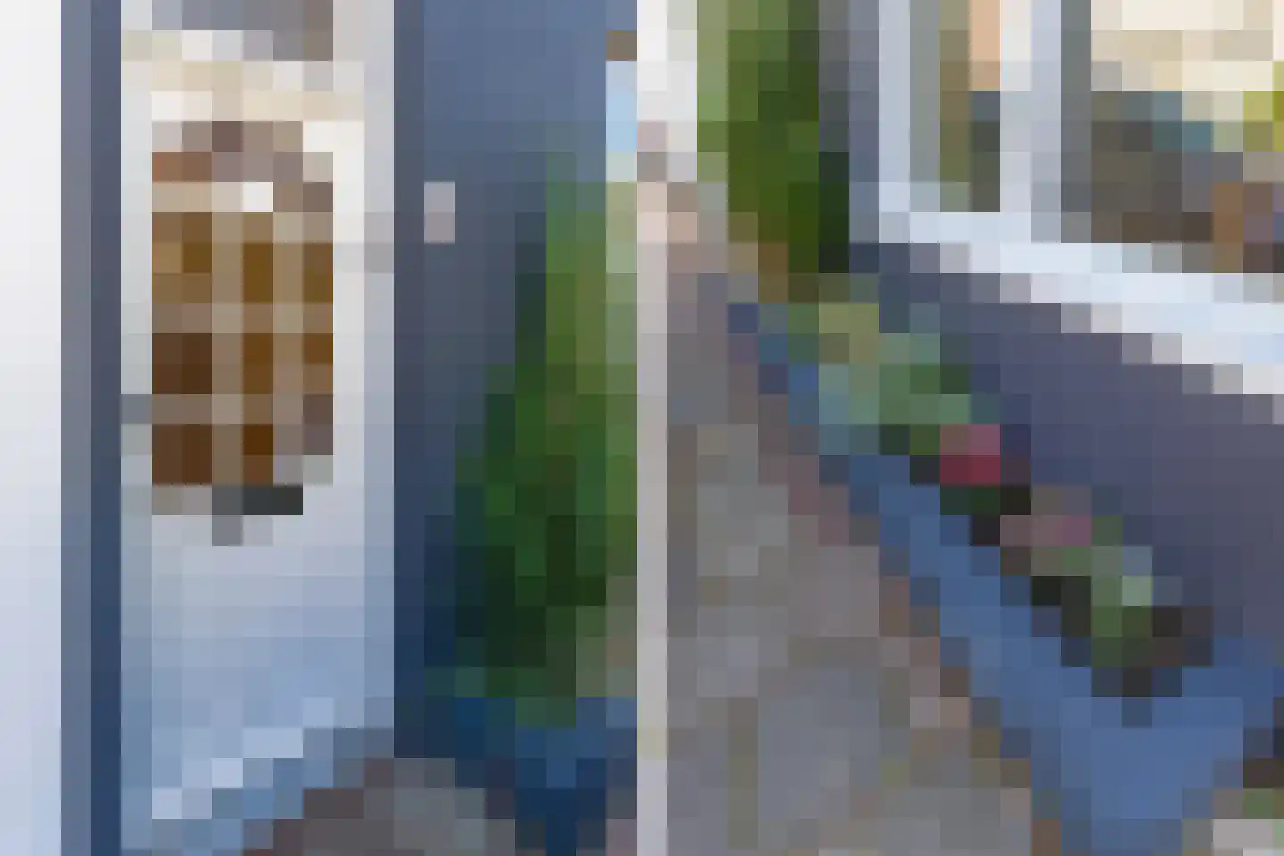Leidsestraat 152 Haarlem thumbnail 6