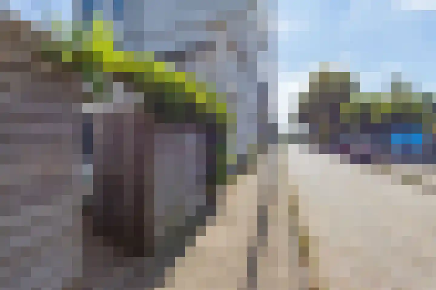 Leidsestraat 152 Haarlem thumbnail 7