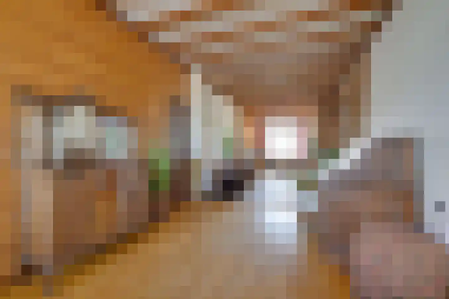 Leidsestraat 17 Hillegom thumbnail 10