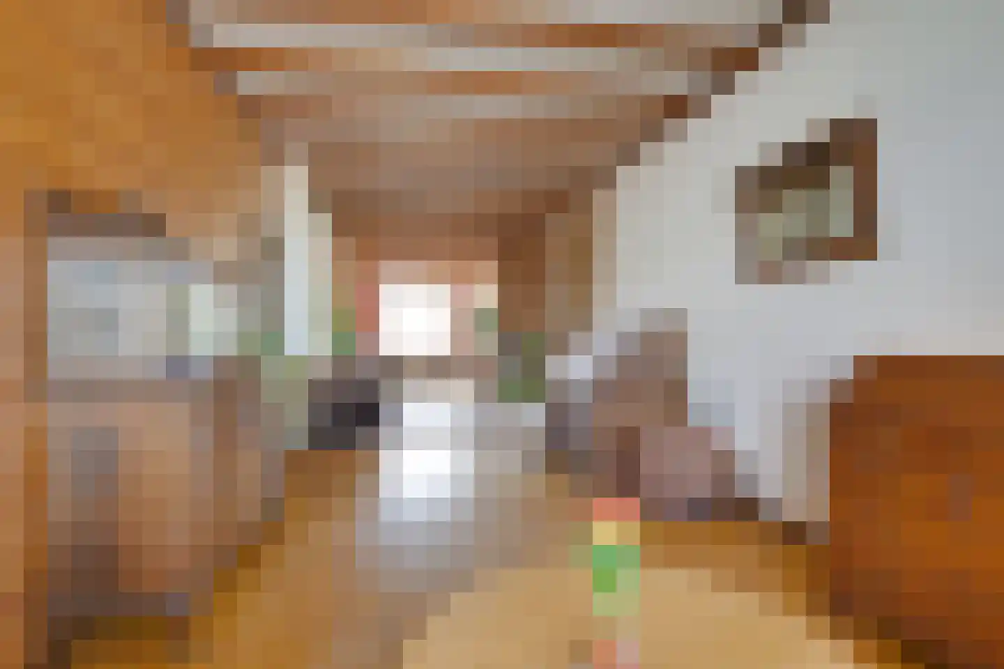 Leidsestraat 17 Hillegom thumbnail 11