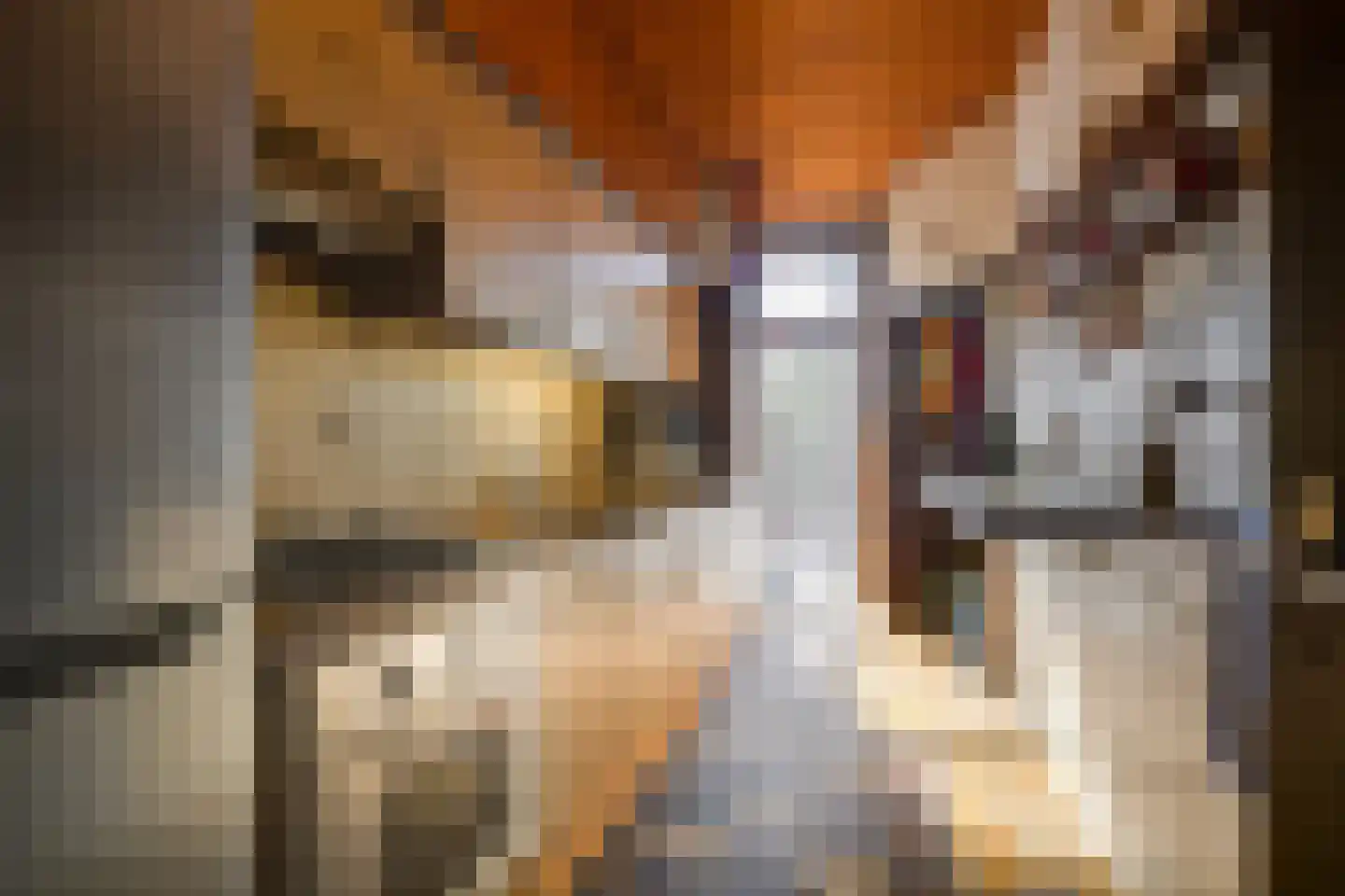 Leidsestraat 17 Hillegom thumbnail 15