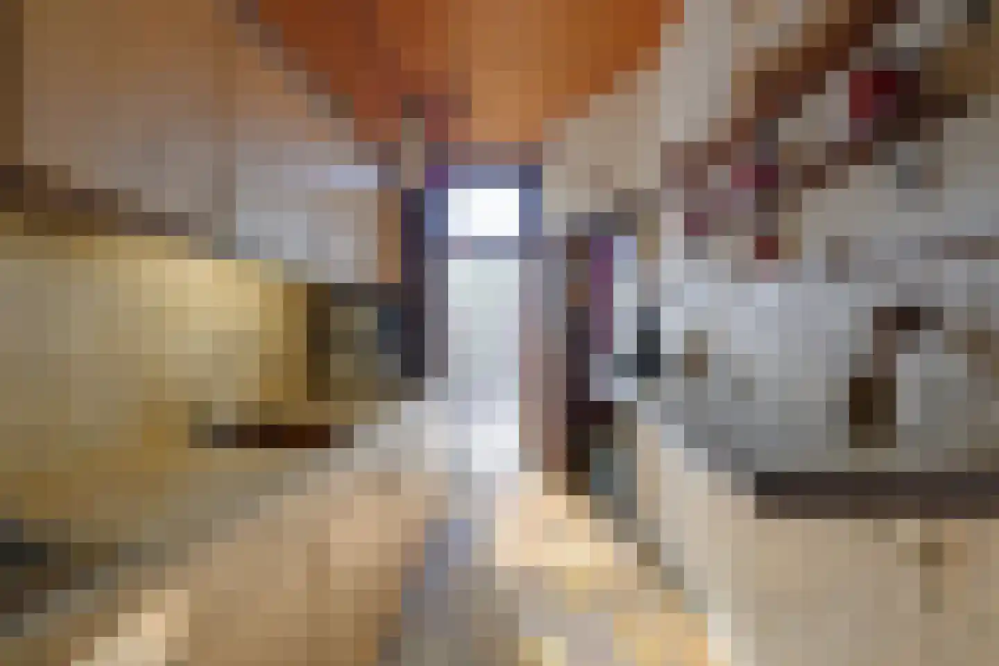 Leidsestraat 17 Hillegom thumbnail 18
