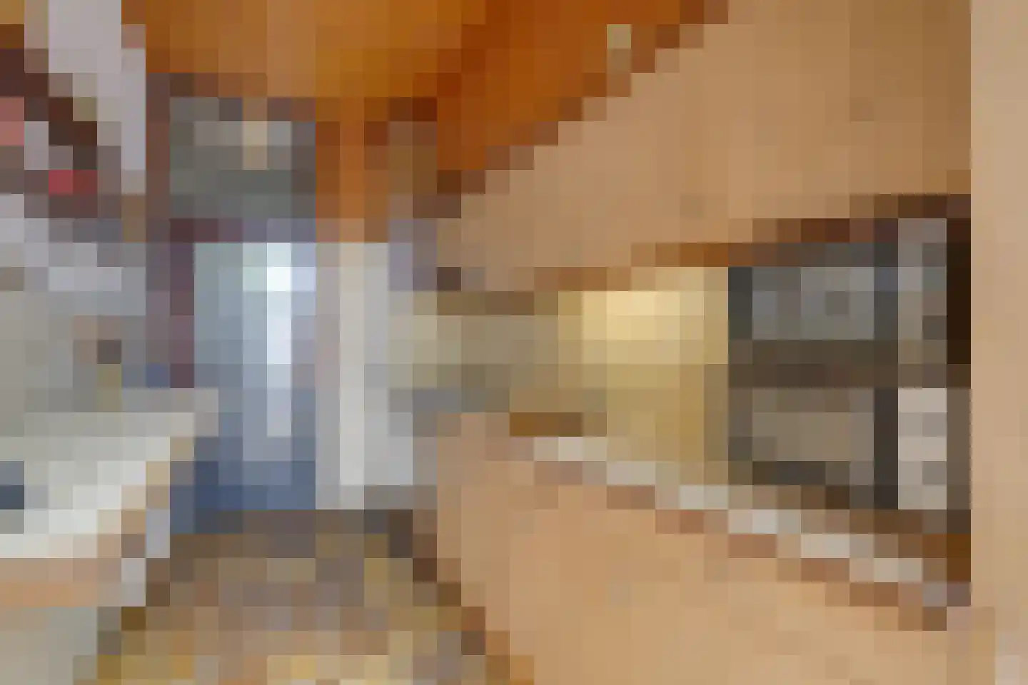 Leidsestraat 17 Hillegom thumbnail 19