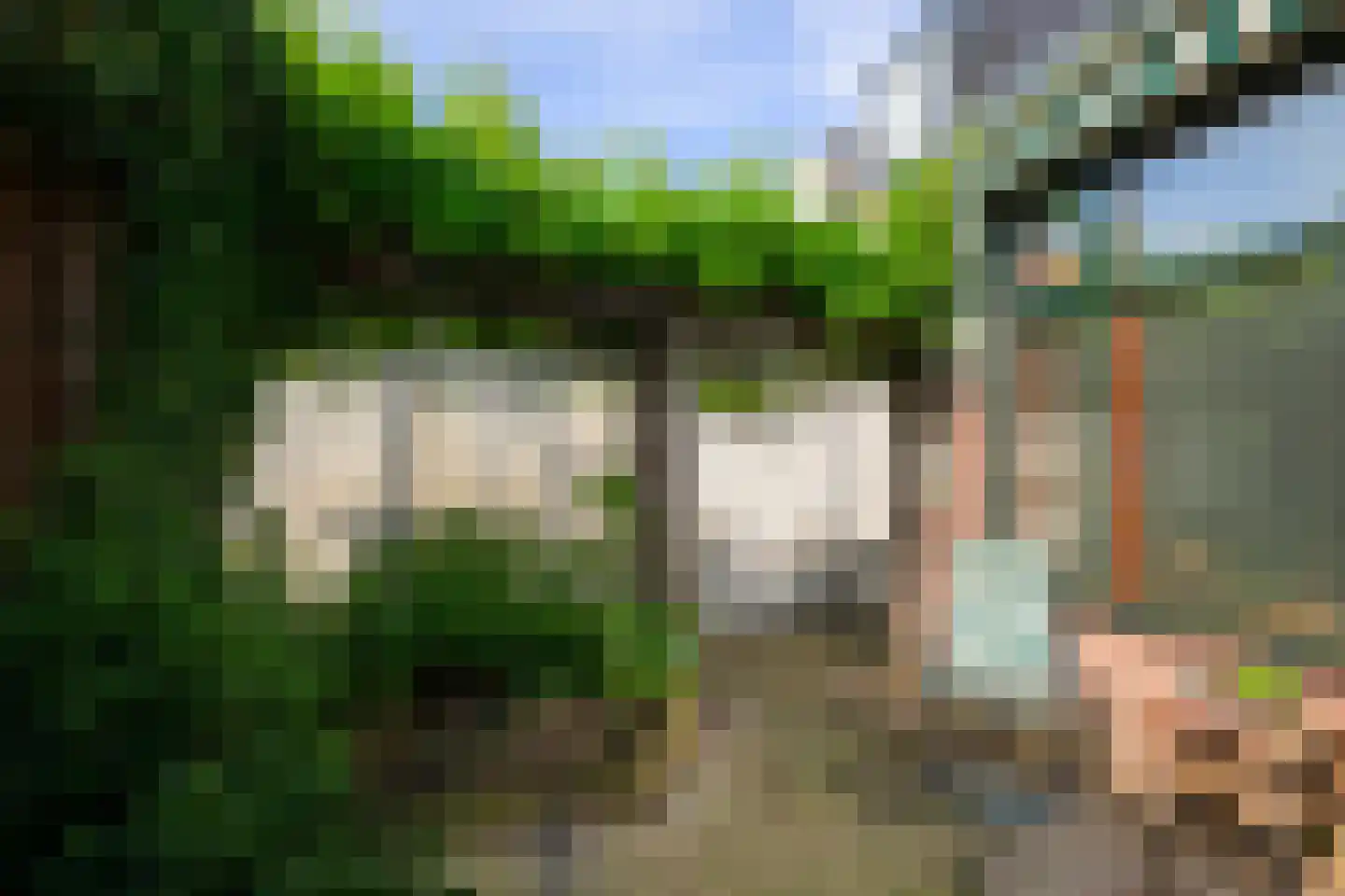 Leidsestraat 17 Hillegom thumbnail 24