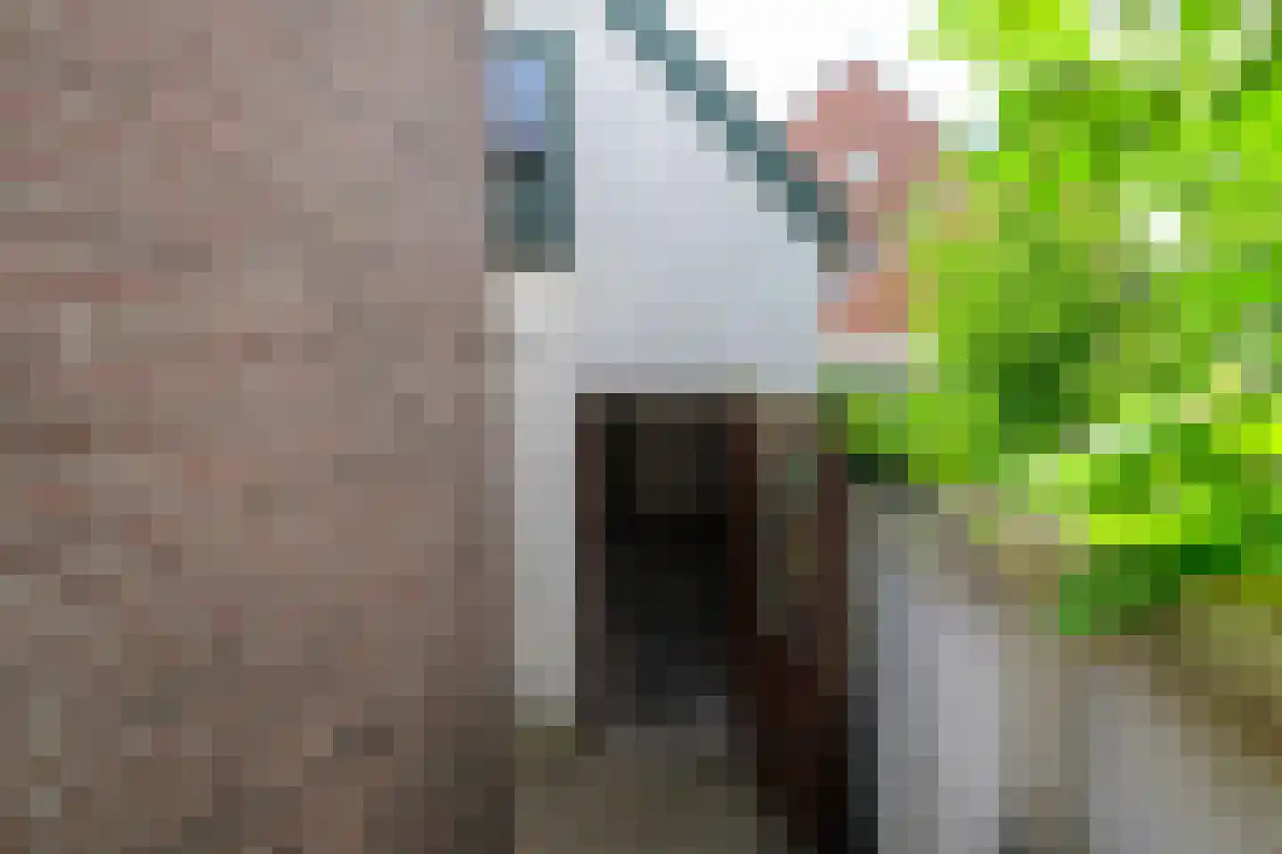 Leidsestraat 17 Hillegom thumbnail 26