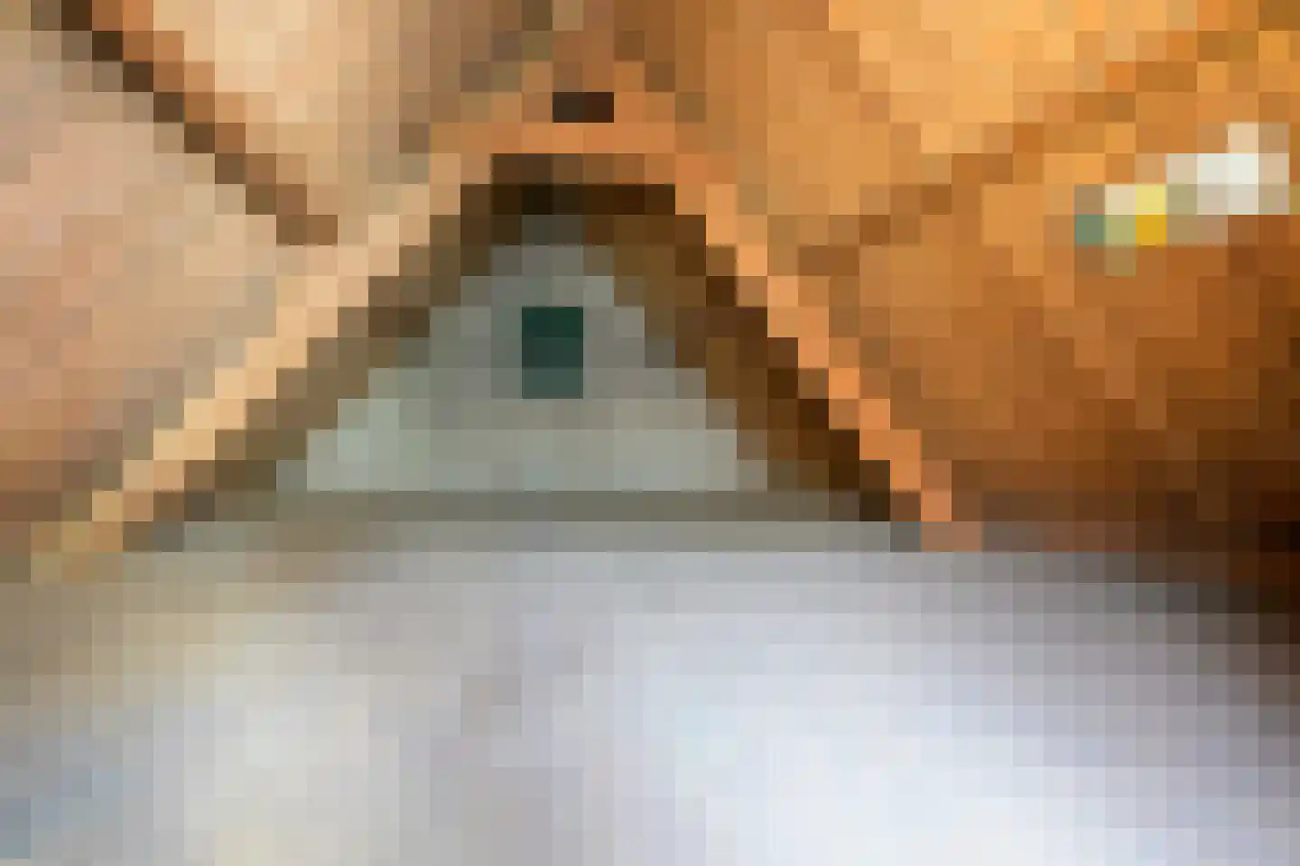 Leidsestraat 17 Hillegom thumbnail 32