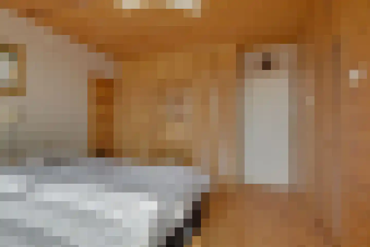 Leidsestraat 17 Hillegom thumbnail 35