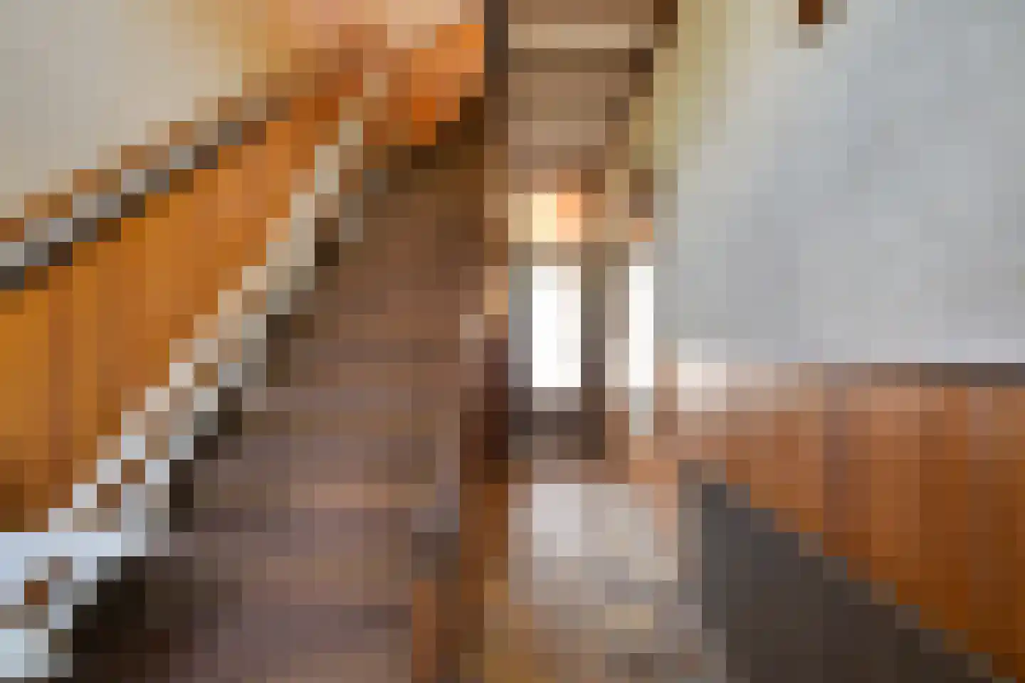 Leidsestraat 17 Hillegom thumbnail 6