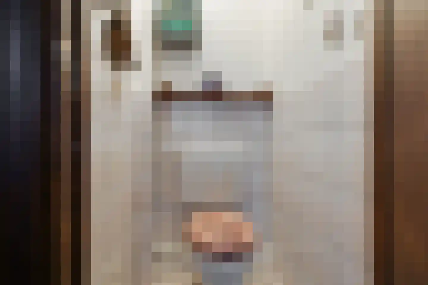 Leidsestraat 17 Hillegom thumbnail 7