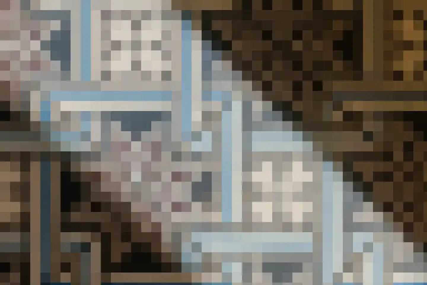 Leidsestraat 28 Haarlem thumbnail 20