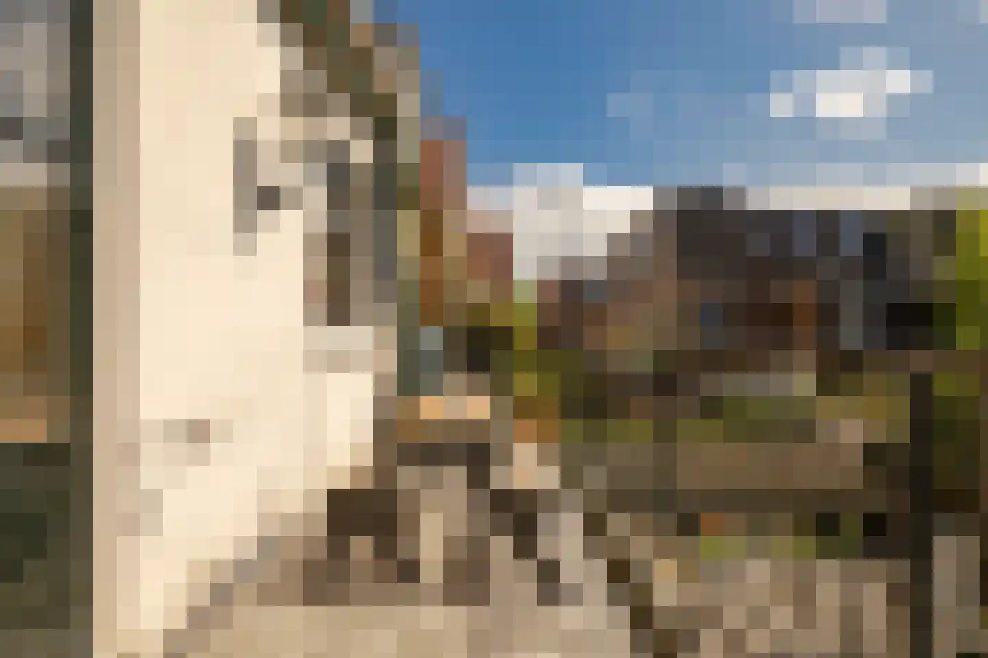 Leidsestraat 28 Haarlem thumbnail 21