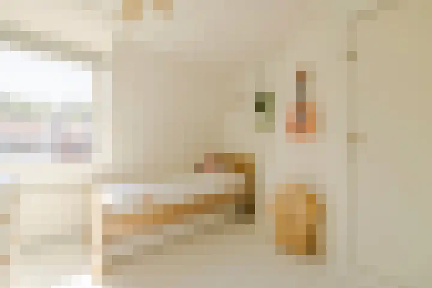 Leidsestraat 28 Haarlem thumbnail 33