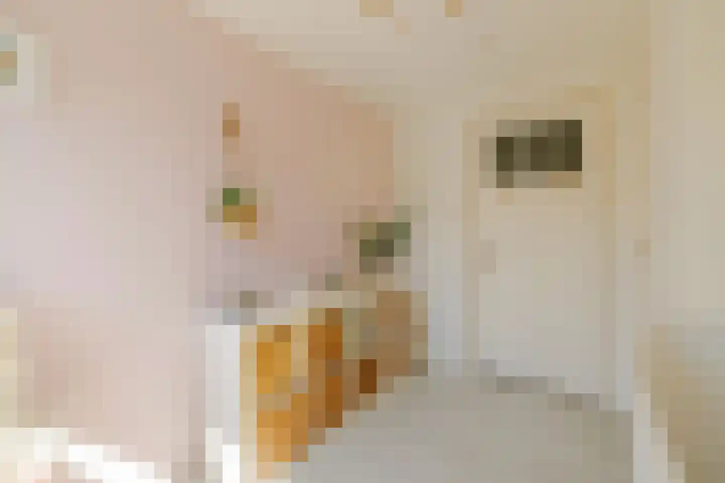 Leidsestraat 28 Haarlem thumbnail 38