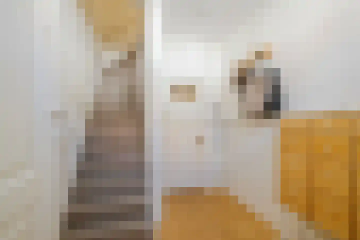 Leidsestraat 28 Haarlem thumbnail 41
