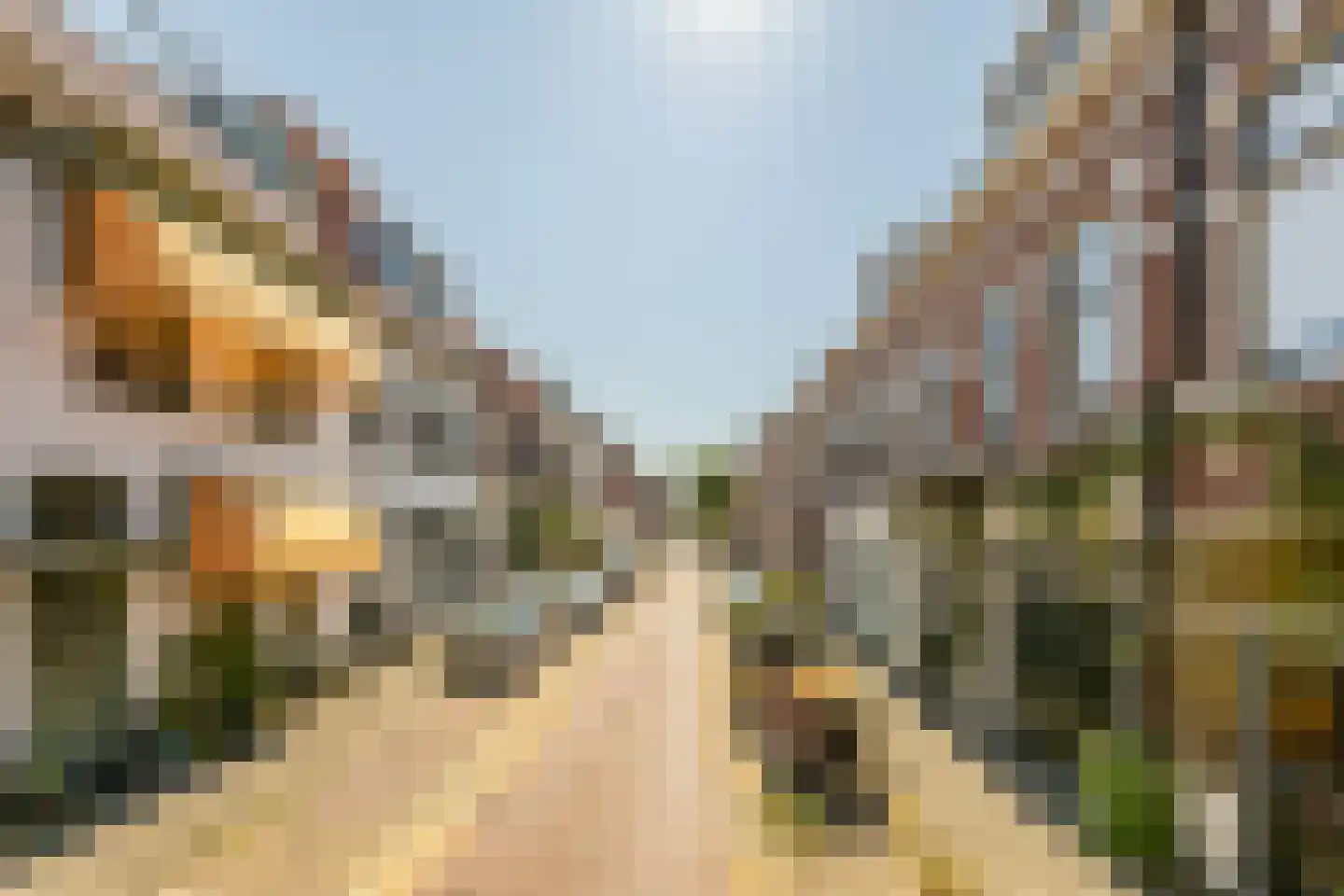 Leidsestraat 37 B Haarlem thumbnail 32