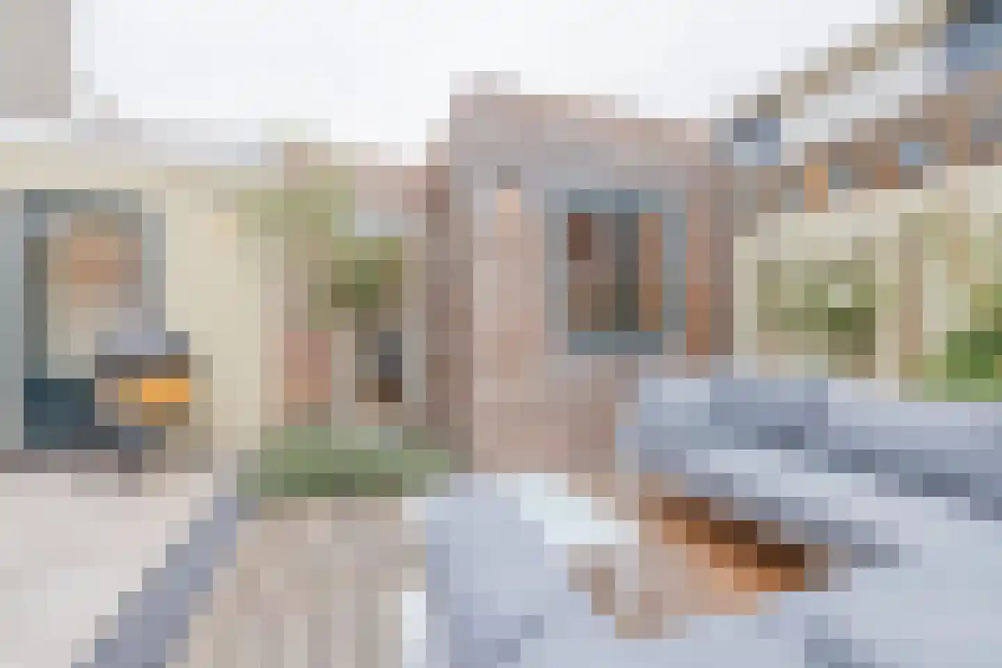 Leidsestraat 37 Haarlem thumbnail 23
