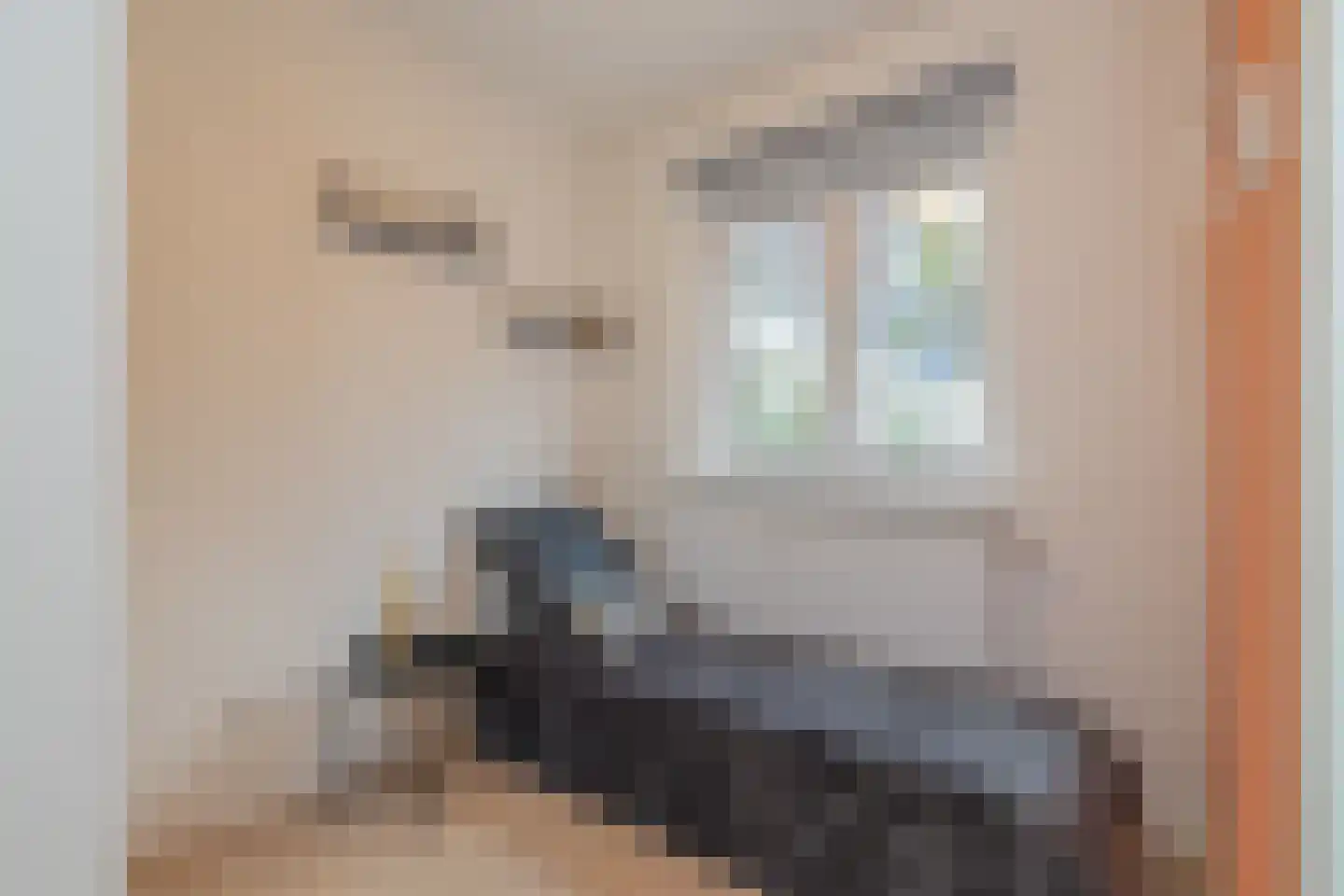 Leidsestraat 37 Haarlem thumbnail 30