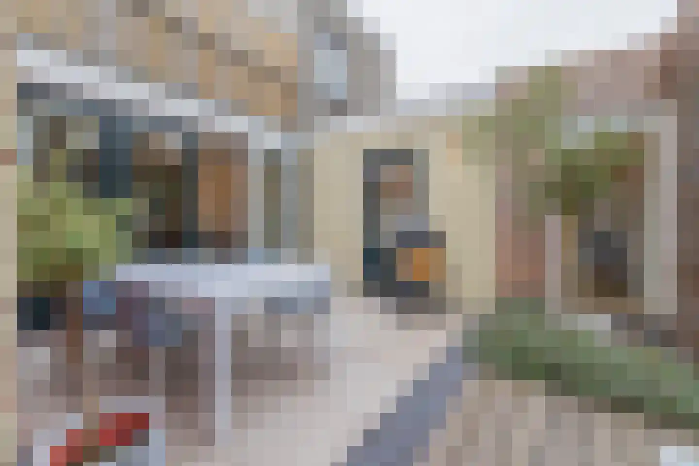 Leidsestraat 37 Haarlem thumbnail 5