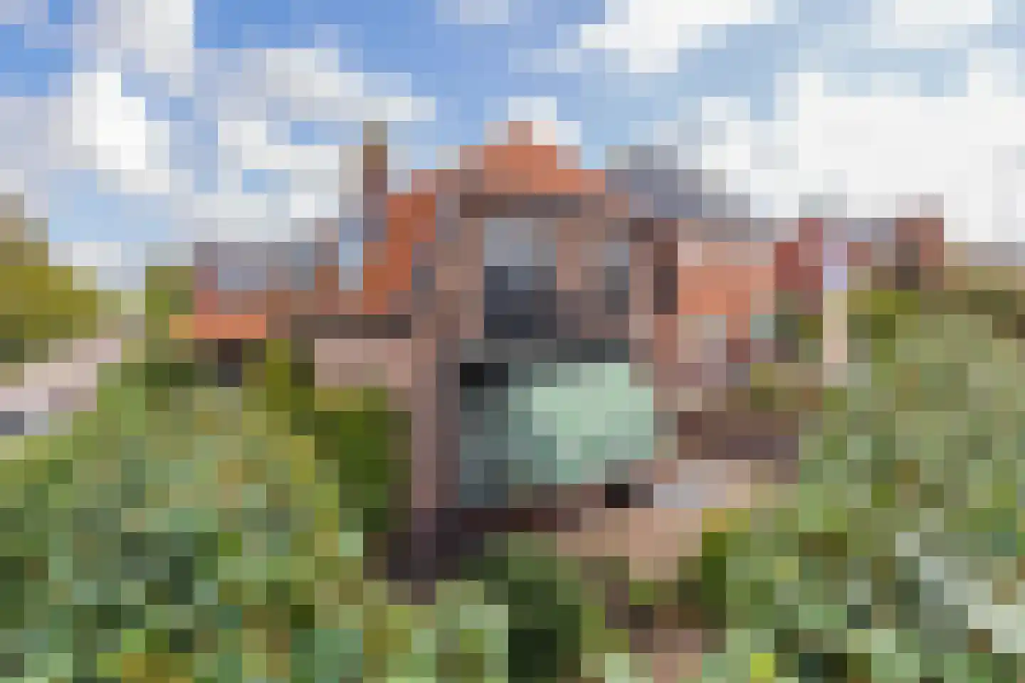Leidsestraat 5 Hillegom