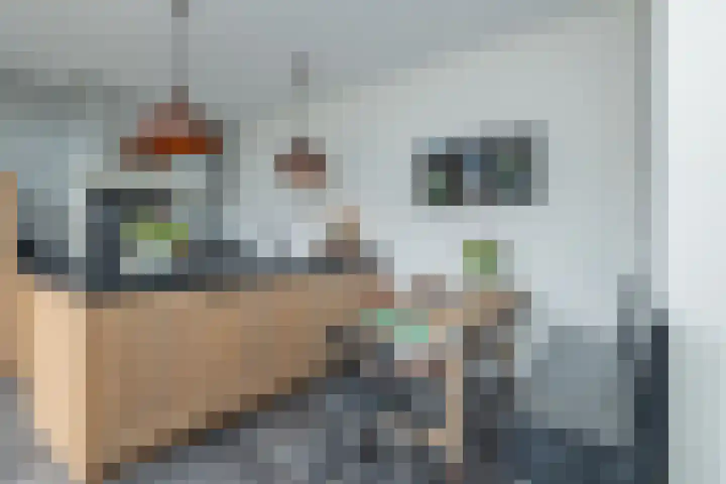 Leidsestraat 5 Hillegom thumbnail 18