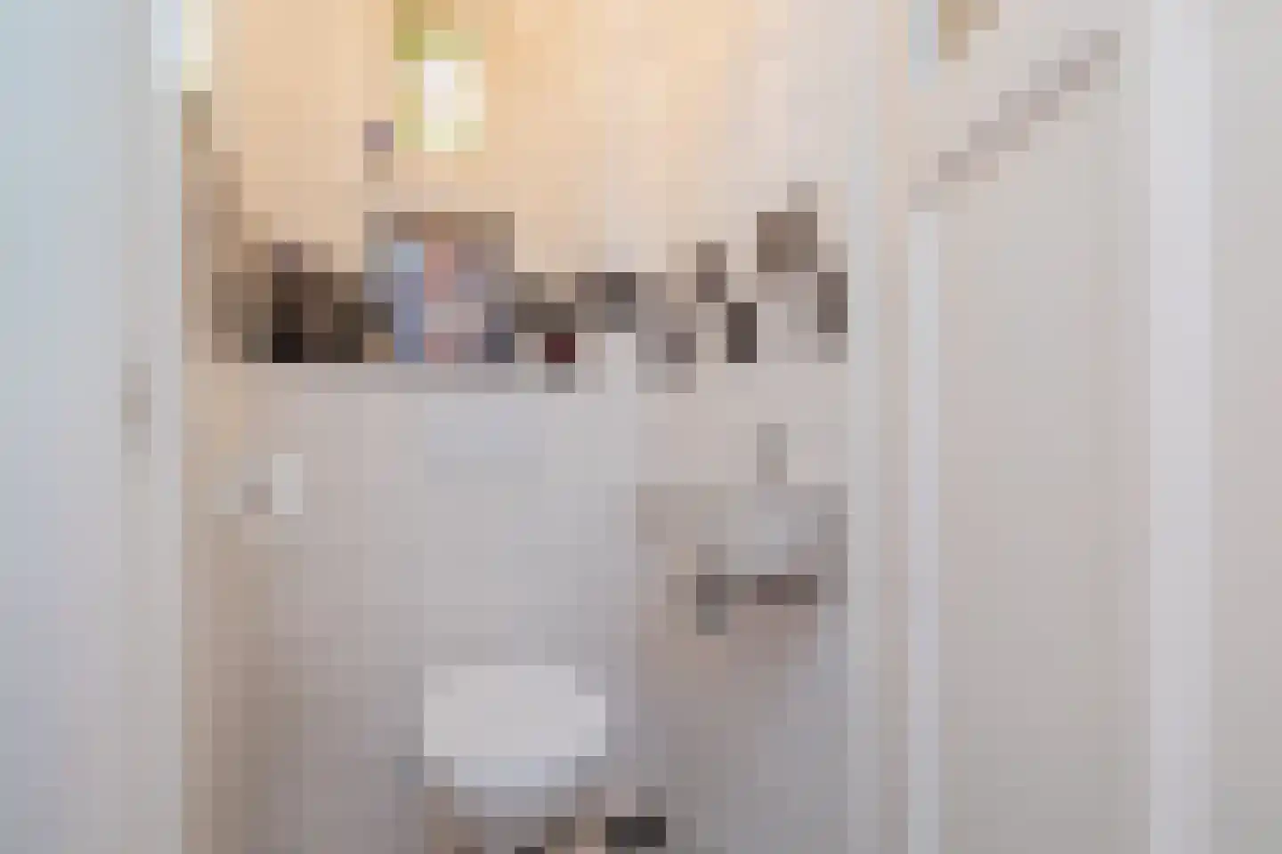 Leidsestraat 5 Hillegom thumbnail 25