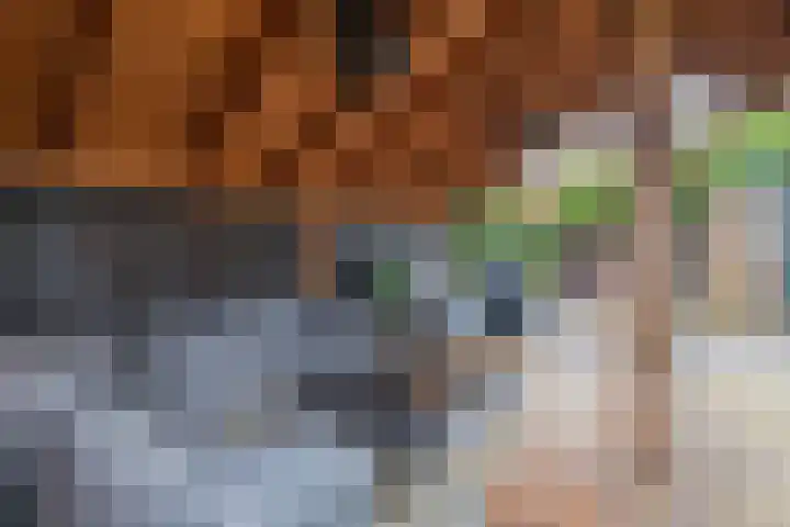 Leidsestraat 5 Hillegom thumbnail 27
