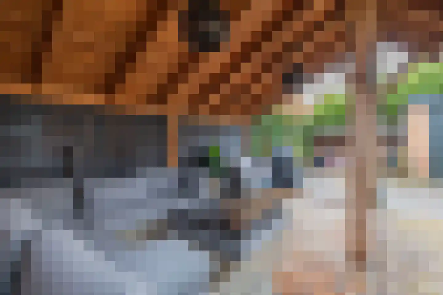Leidsestraat 5 Hillegom thumbnail 27