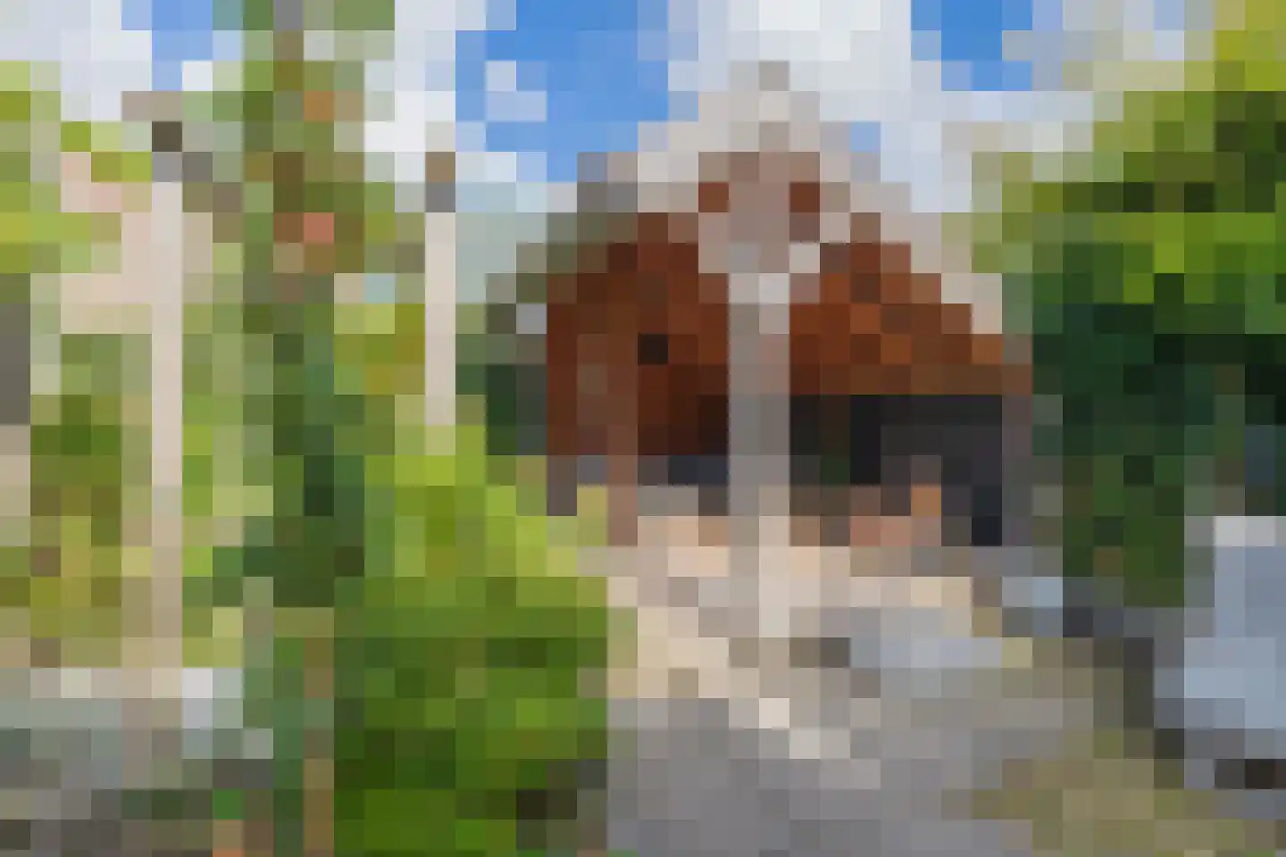 Leidsestraat 5 Hillegom thumbnail 28