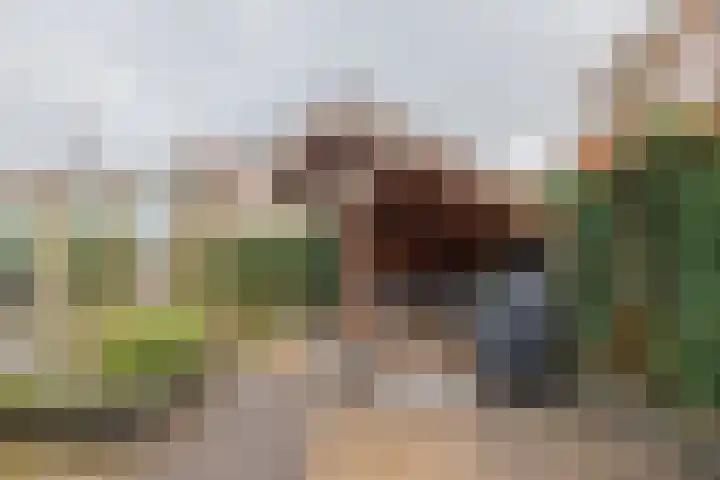 Leidsestraat 5 Hillegom thumbnail 28