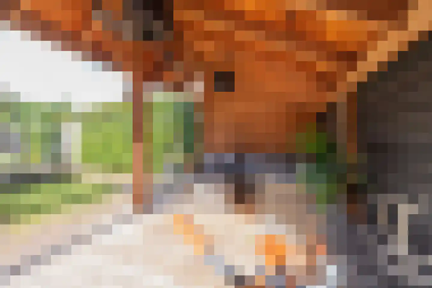Leidsestraat 5 Hillegom thumbnail 29