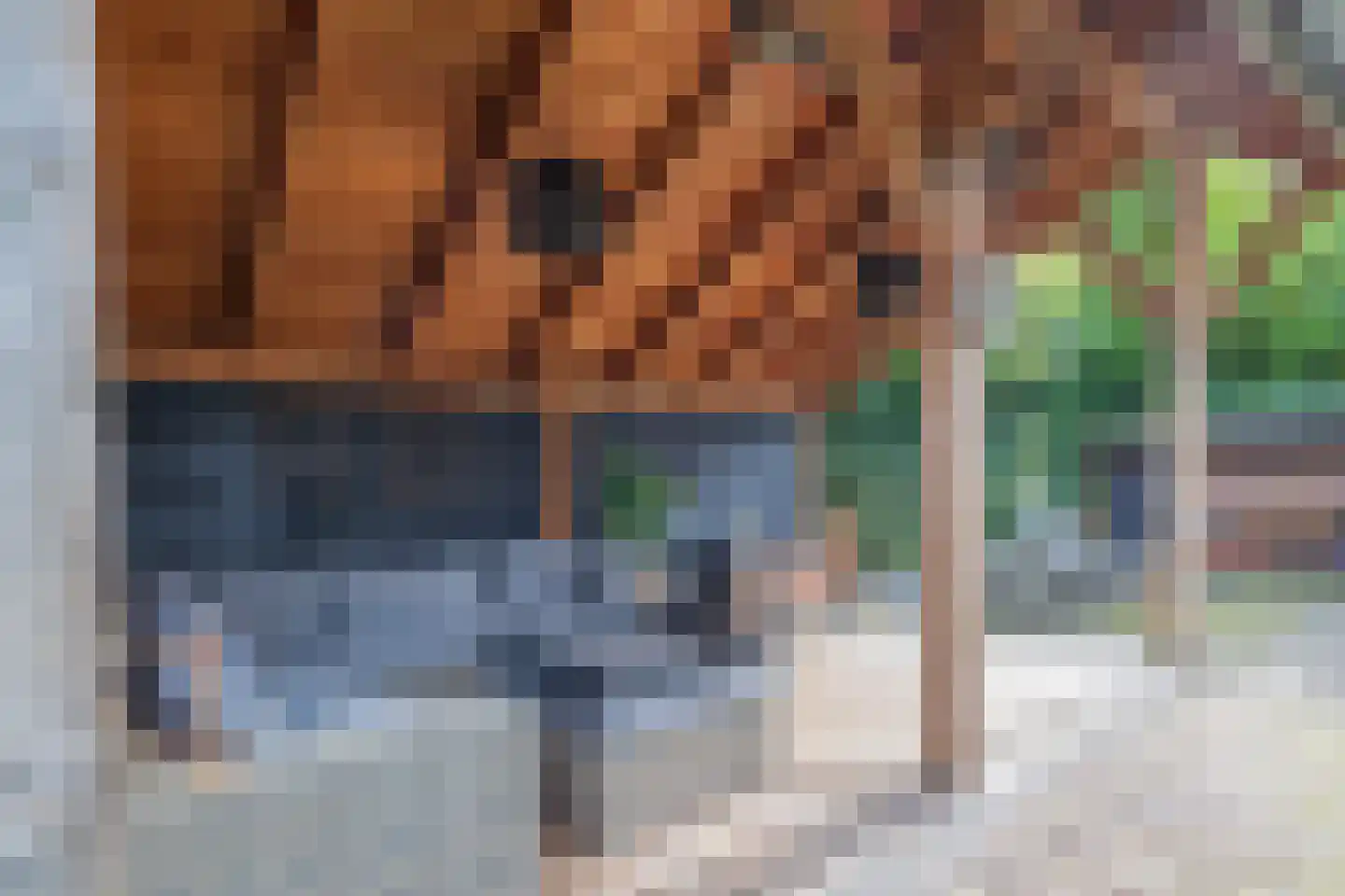 Leidsestraat 5 Hillegom thumbnail 30