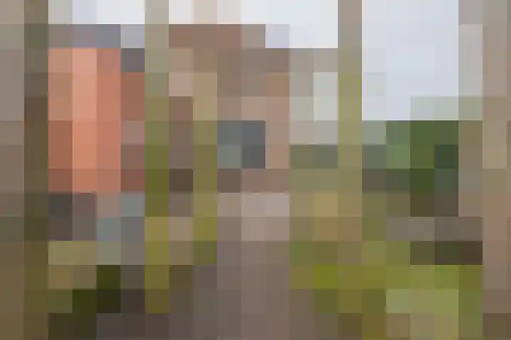 Leidsestraat 5 Hillegom thumbnail 33