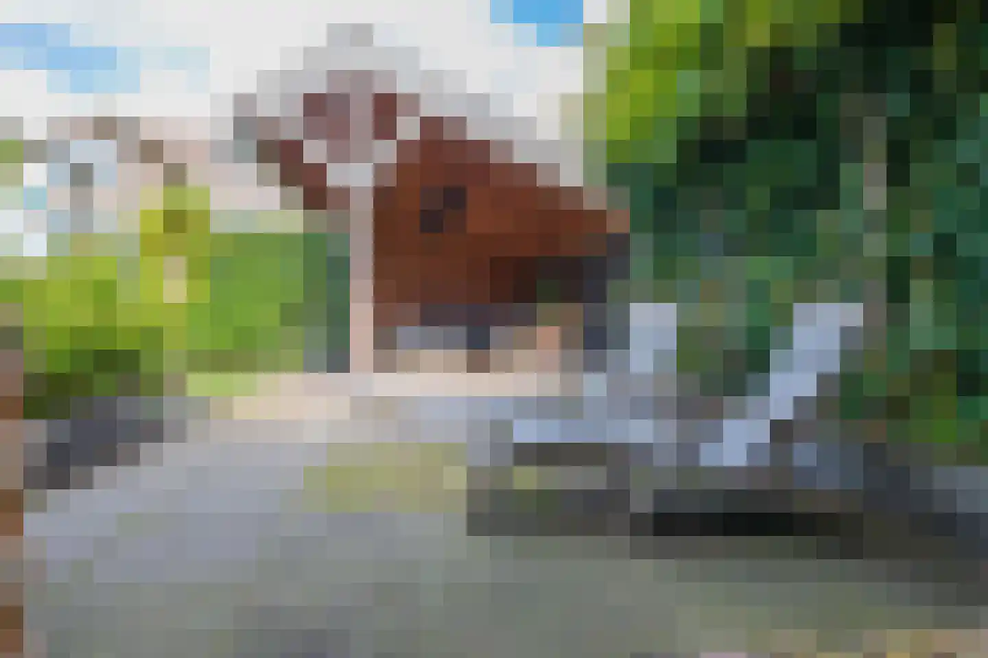 Leidsestraat 5 Hillegom thumbnail 36