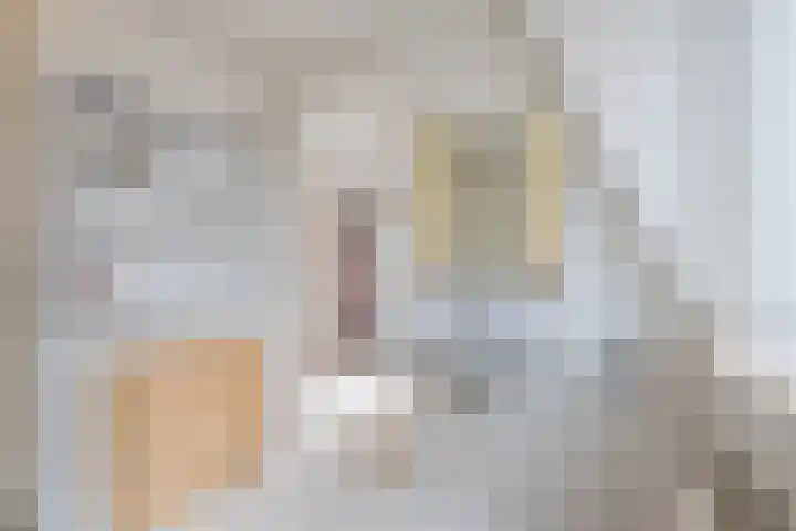 Leidsestraat 5 Hillegom thumbnail 42