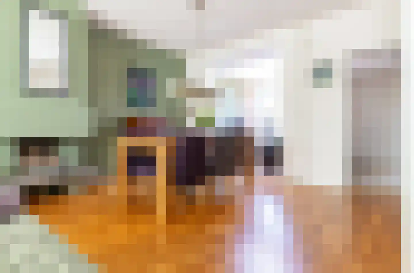 Leidsestraat 56 Hillegom thumbnail 4