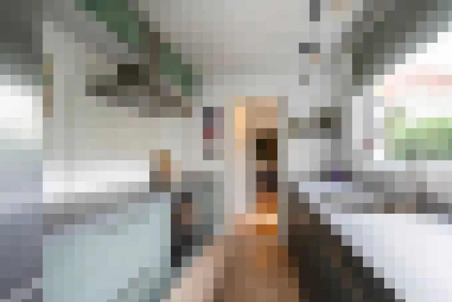 Leidsestraat 62 Haarlem thumbnail 17