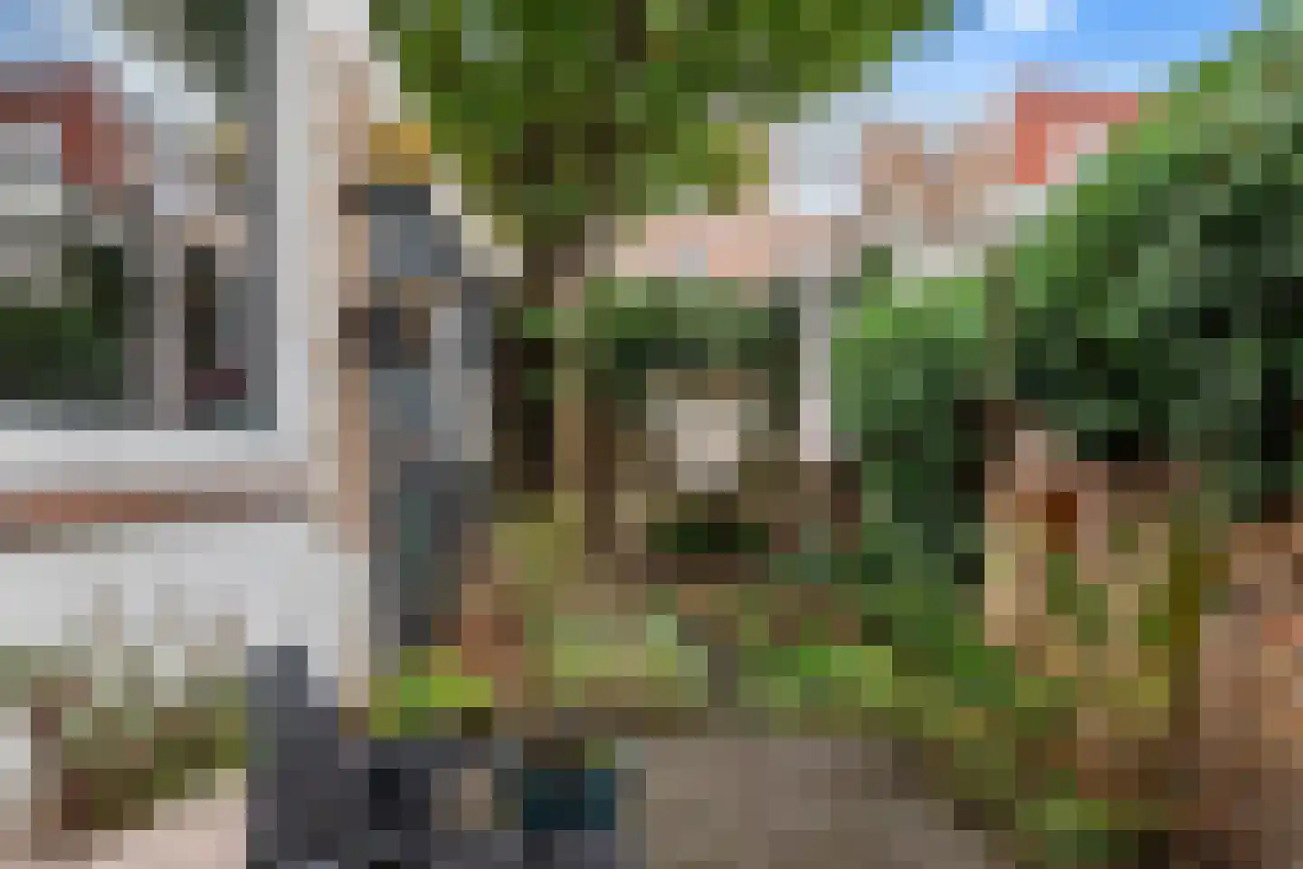 Leidsestraat 62 Haarlem thumbnail 20