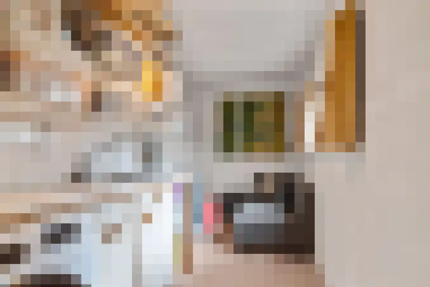 Leidsestraat 62 Haarlem thumbnail 32